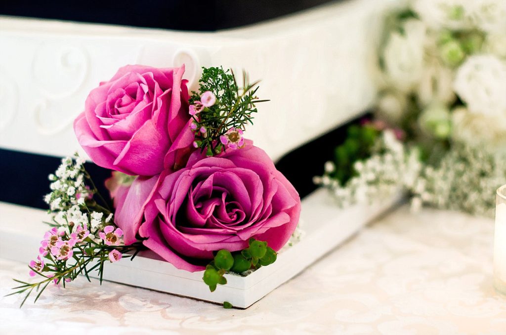 Raleigh Wedding Photographer