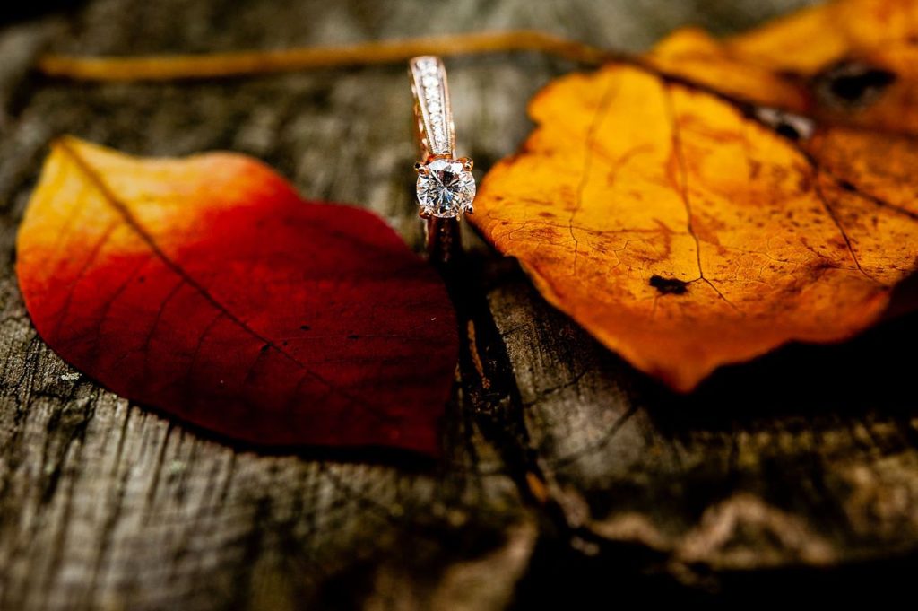 Skylands Manor Engagement Photos Raleigh Wedding Photographer