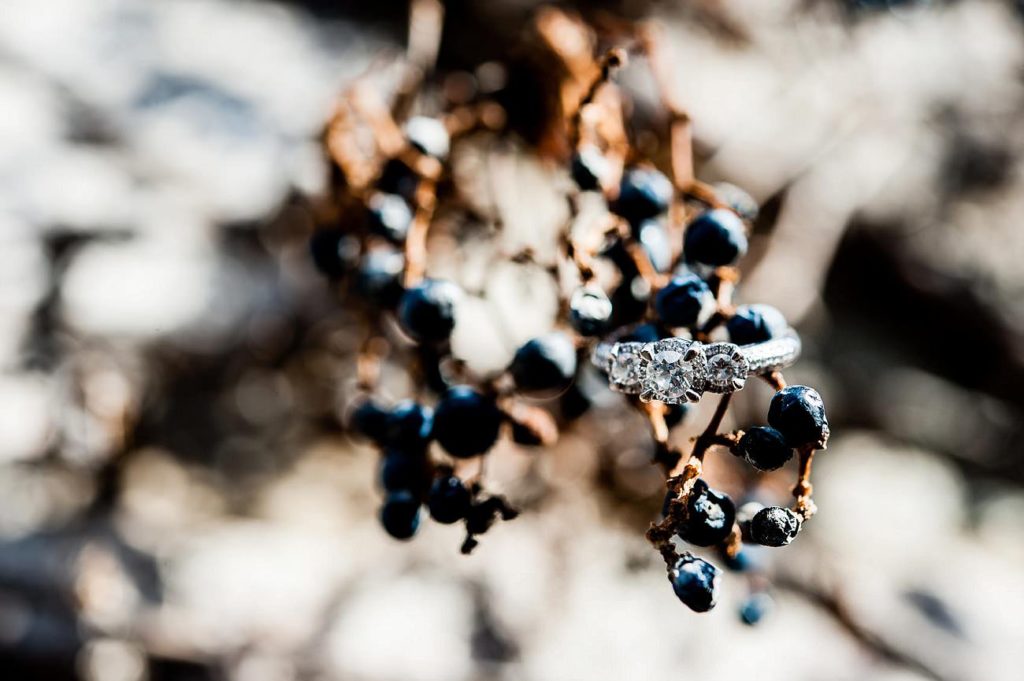 Skylands Manor Engagement Photos