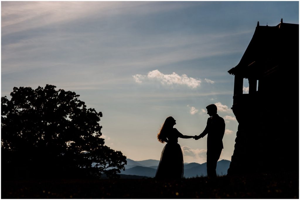 Biltmore Estate Engagement Photos by Asheville Wedding Photographer Dave Shay