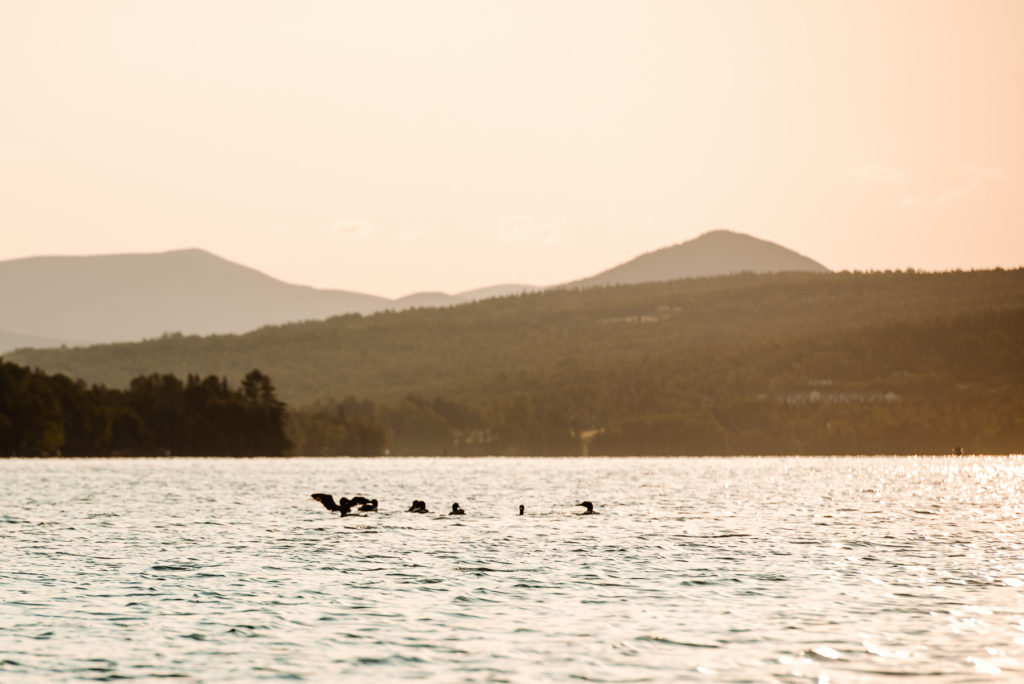 rangeley maine photos best maine wedding photographer by dave shay