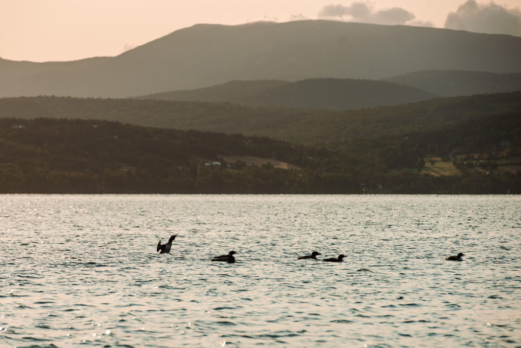 rangeley maine photos best maine wedding photographer by dave shay