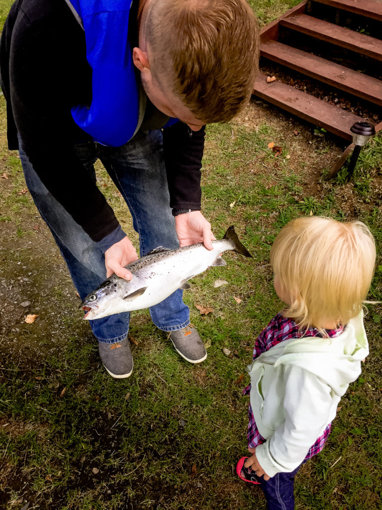 rangeley maine photos best maine wedding photographer by dave shay