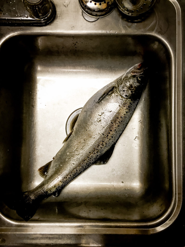 rangeley maine photos best maine wedding photographer by dave shay