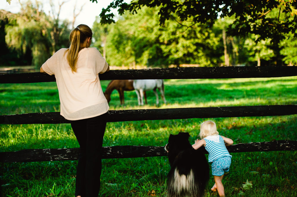 rangeley maine photos best maine wedding photographer by dave shay