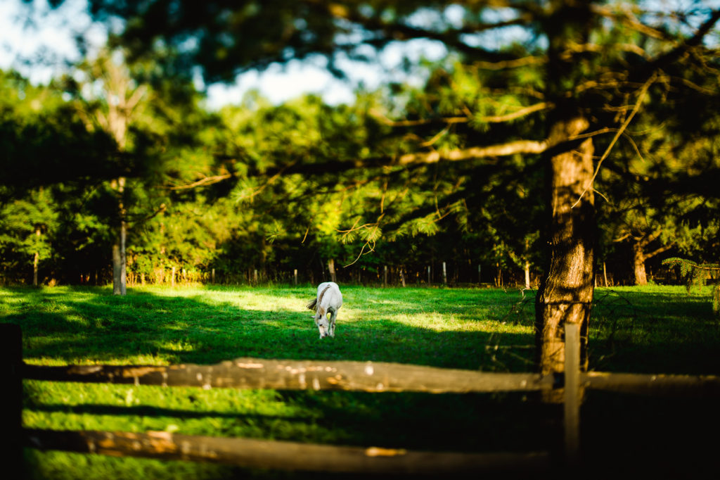 rangeley maine photos best maine wedding photographer