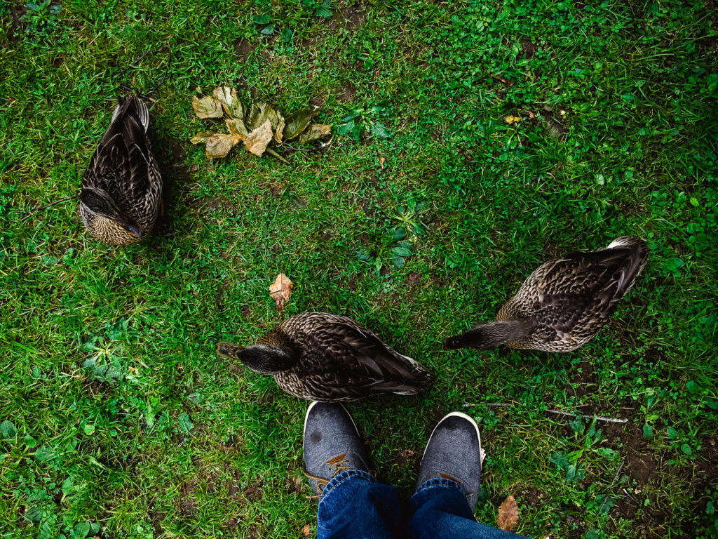 rangeley maine photos best maine wedding photographer by dave shay