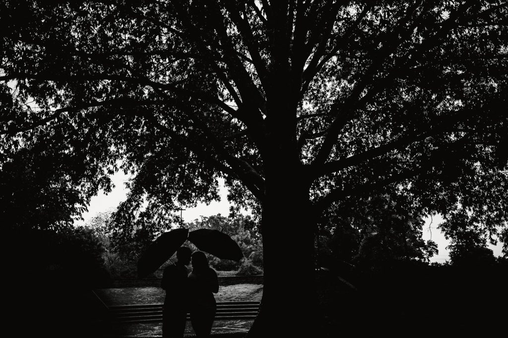 Nate and Katie's Pullen Park Engagement Photos in Raleigh North Carolina by Cary Wedding Photographer Dave Shay