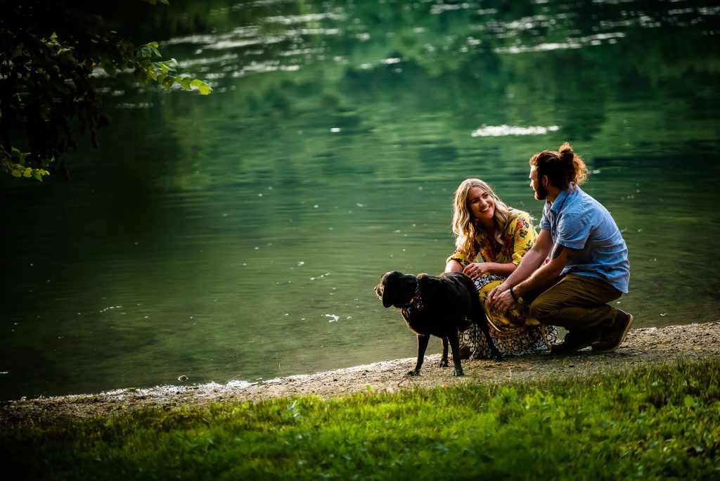 dog engagement photos in pinterest