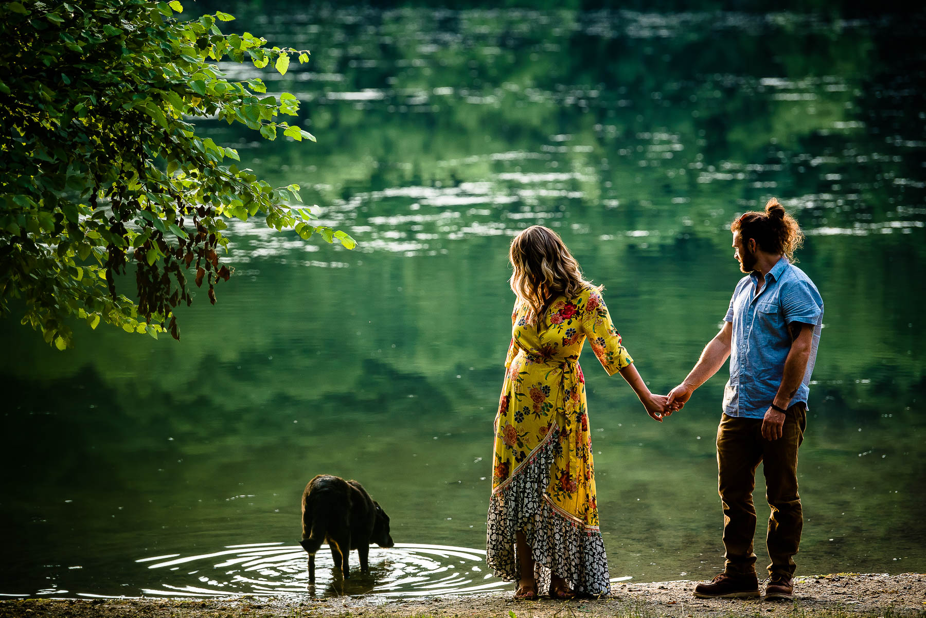 Ramapo Valley Reservation Engagement Photos |  New Jersey Engagement Photographer | Kathryn and Charlie