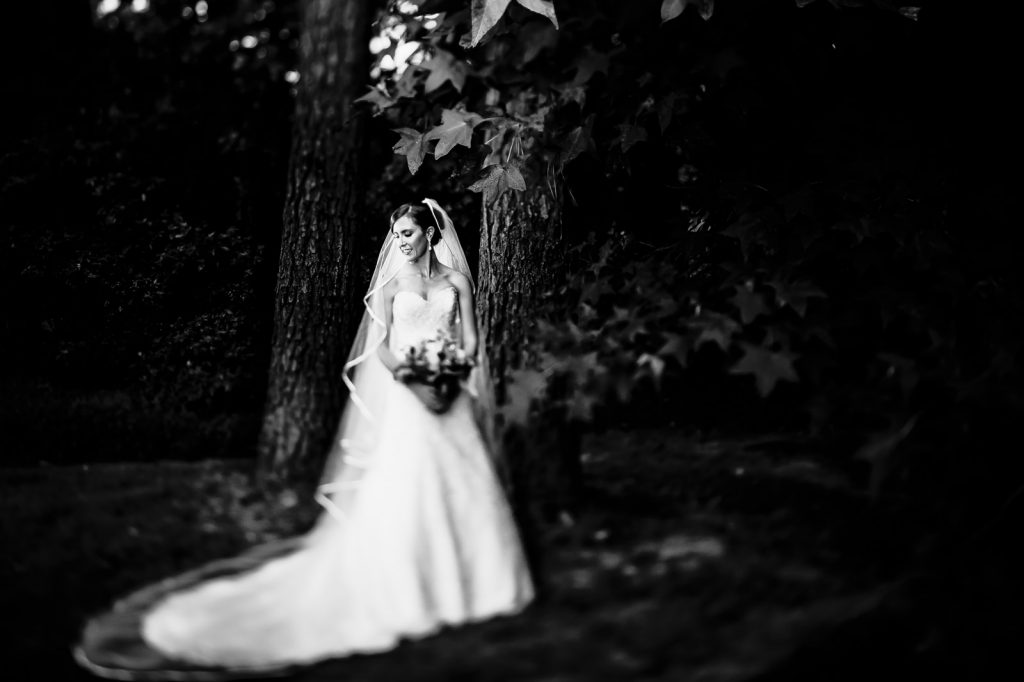 Bride wedding dress nature