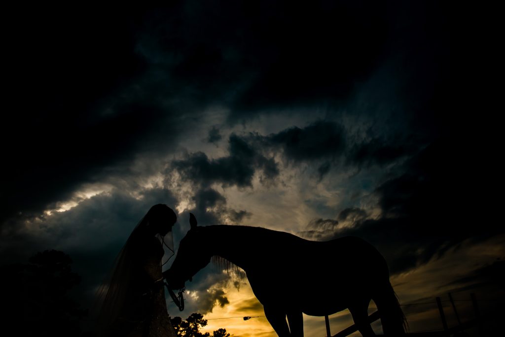 Bride Horse Bridal Picture