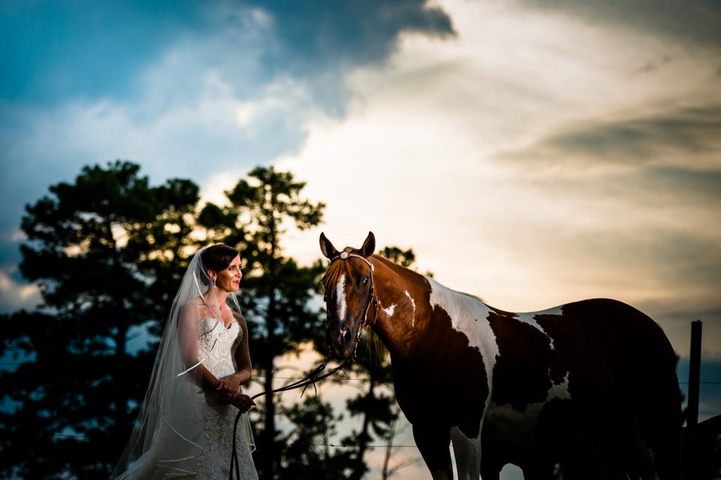 Equestrian Bridal Session sunset