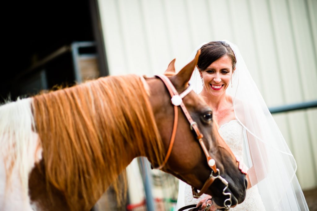 Horse bride barn