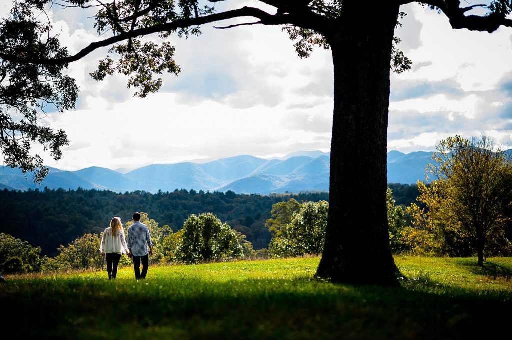 Natural Light engagement photo at the biltmore estate