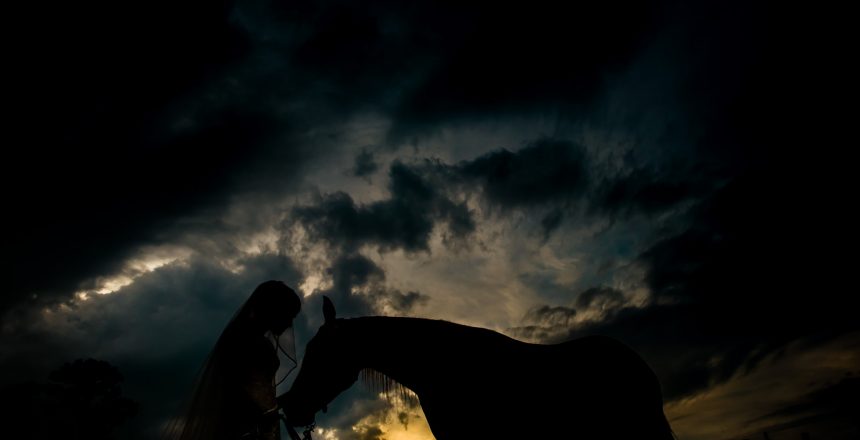 Bride Horse Bridal Picture